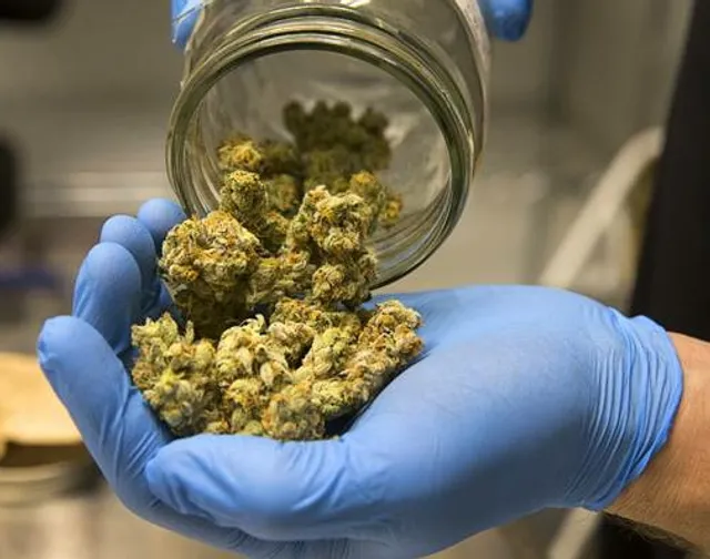 The Chronic Courier - Denver Marijuana Delivery