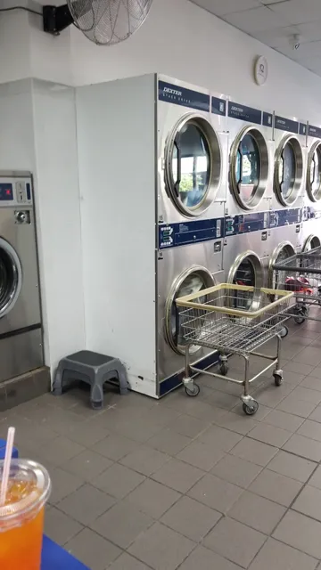 Trevor Wilson Laundromat