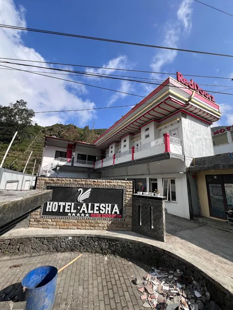 penginapan alesha dieng