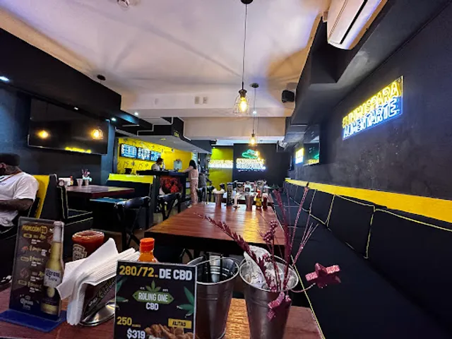 Busher Cocdril's PV Centro