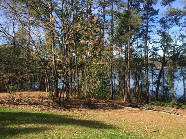 Tyler State Park Group Picnic Area #2