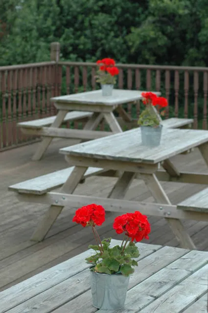 The Queen's Head, Finghall