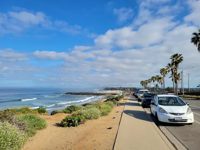 Carlsbad State Beach