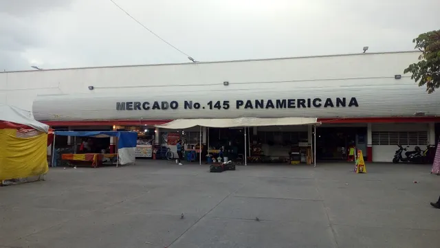 Mercado Panamericana.