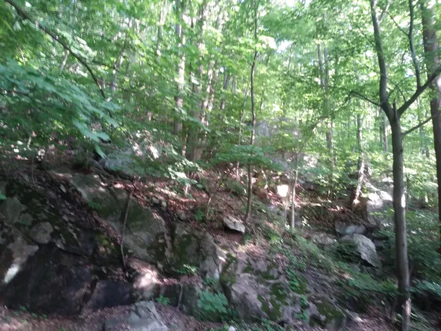 Walking Purchase Park