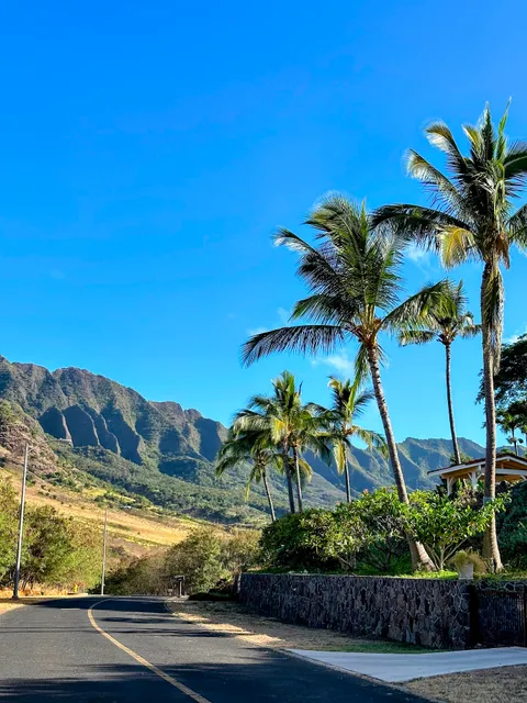 Support Local: Makaha Valley Home