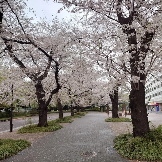 Toyama Park (Mount Hakone Area)