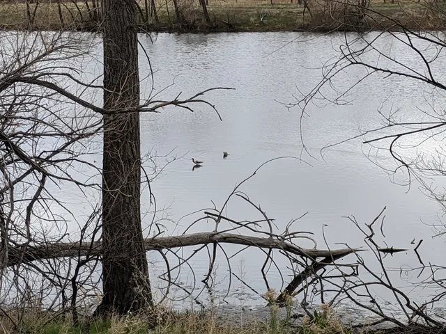 Heron Pond Natural Area