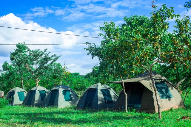 Mantis Lodge & Camping Site