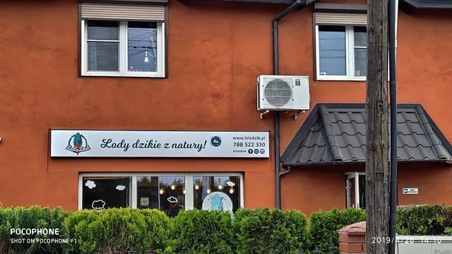 LoLoDzik - Lody dzikie z natury!