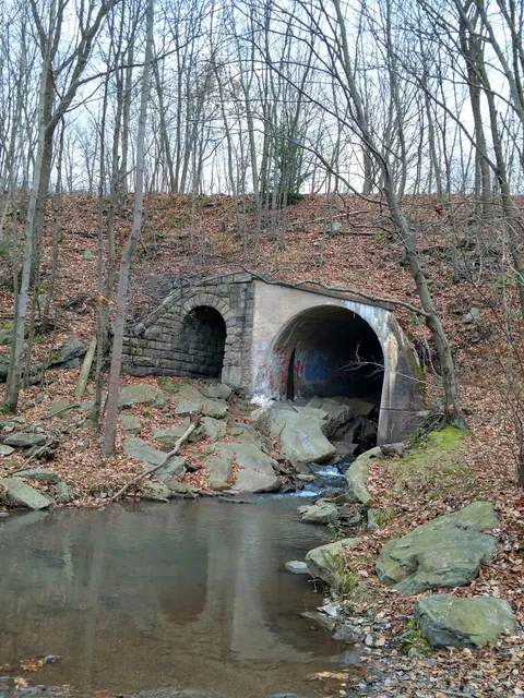 State Game Lands Number 207