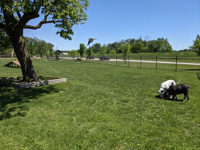 Riverside Dog Park