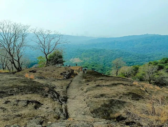 Sanjay Gandhi National Park