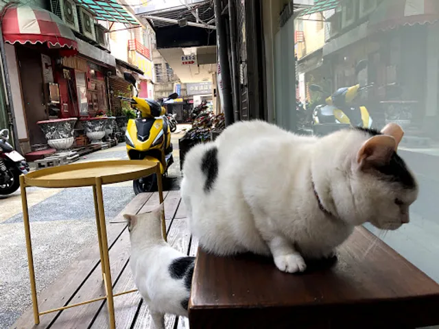 貓町珈琲 Cattown : Coffee Stand （週日只提供咖啡）