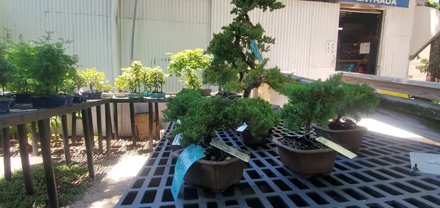 Quality Feed & Garden Inc.