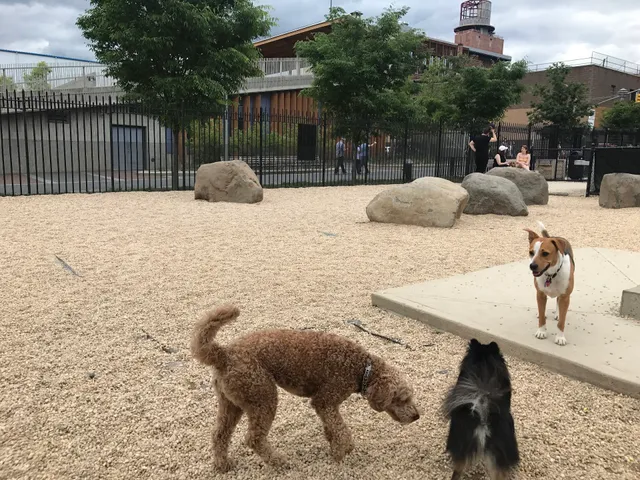 Marsha P. Johnson State Park Dog Run
