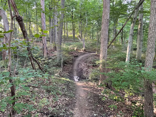 photo-1