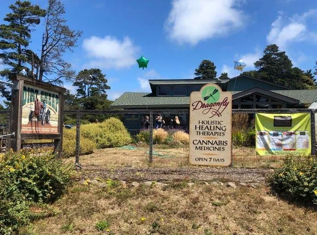 Dragonfly Wellness Center