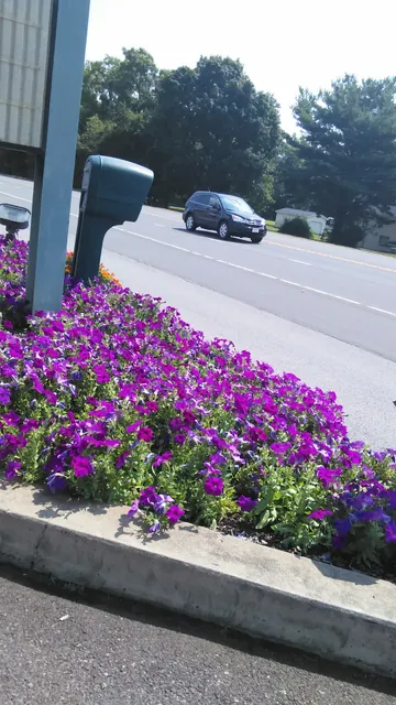 Plaza House Furniture Showroom of Bloomsburg