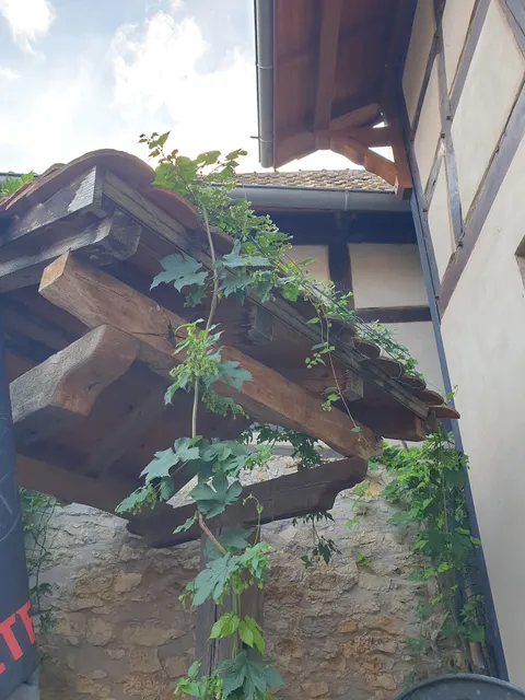 photo-1