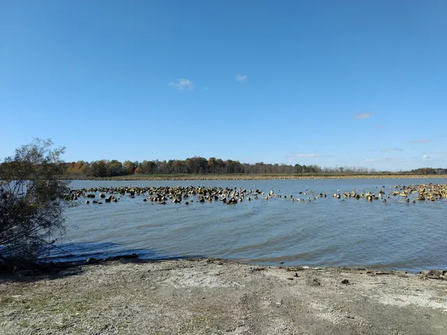 Little Portage River Wildlife Area
