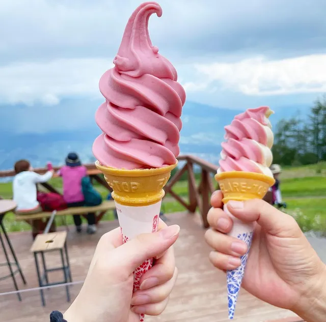 富士見パノラマリゾート レストラン スピカ