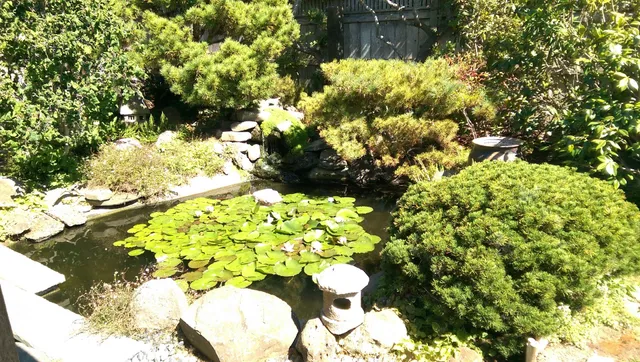 Bodega Bay Heritage Gallery