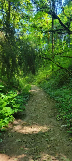 Towhee Trailhead