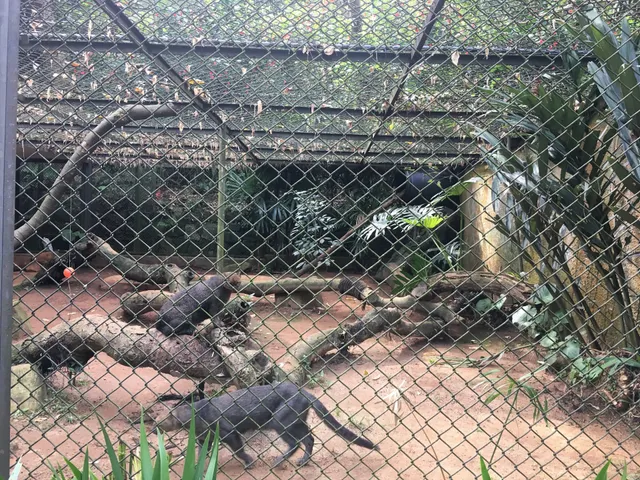 Zoológico Casa do Urso