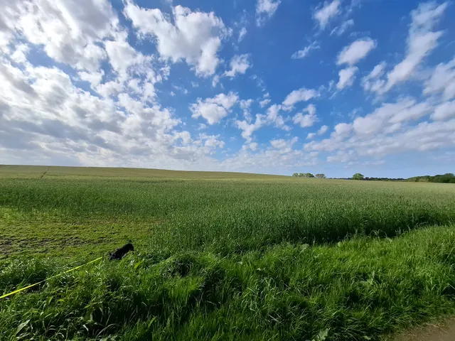 Ferienwohnungen Moritzhagen