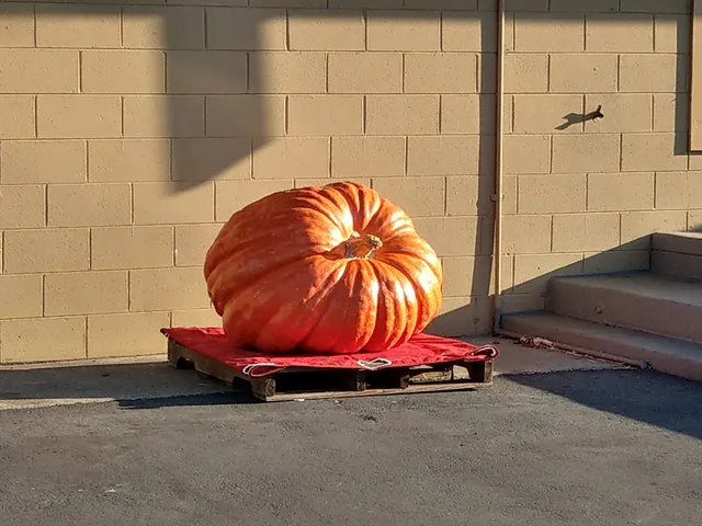 I.D.E.S. Portuguese Hall of Half Moon Bay