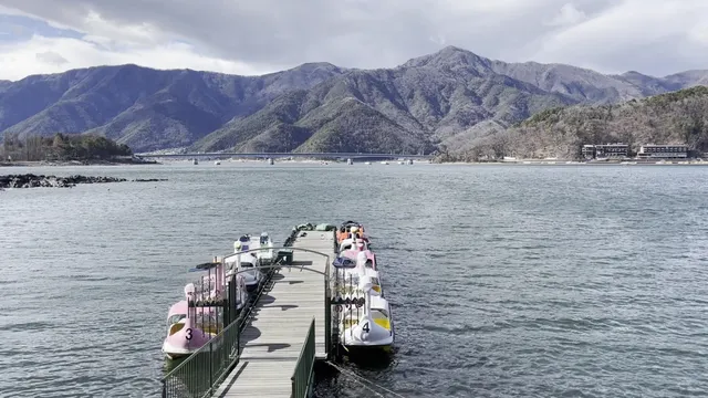 Fujimimarin，買手信