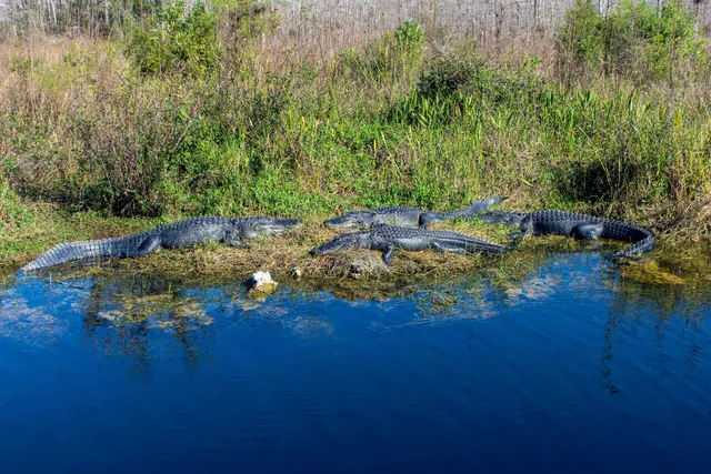 Florida Trail Oasis Visitor Center Trailhead