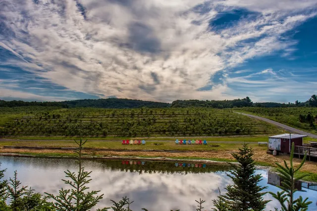 Rose's Berry Farm LLC