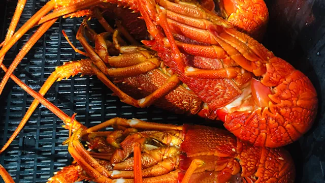 Sky Seafoods/Taste with Attitude