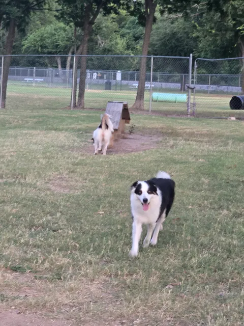 Granbury Bark Park