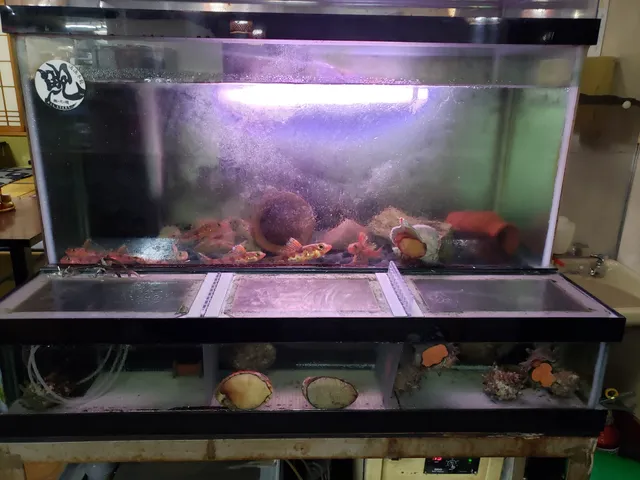 photo-2