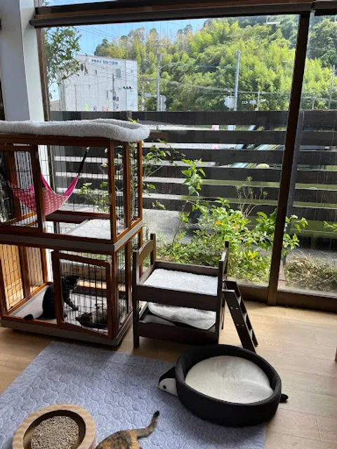 猫カフェうたたね