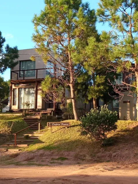 Viudita Blanca 1 y 2