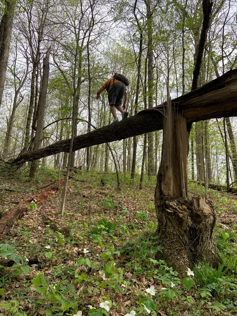 Frances Slocum State Forest