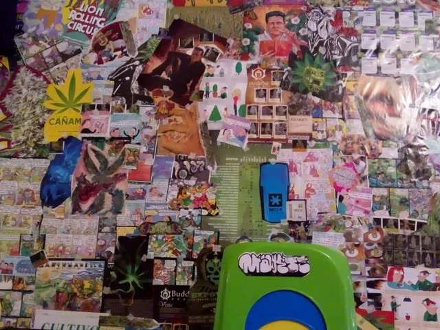 Pulquería El Tecolote