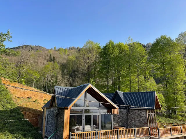 Vaess Villa Dağ Evleri