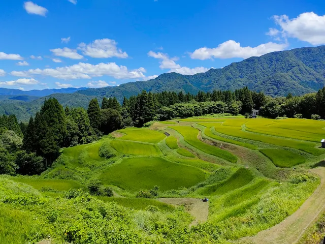 Ueyama rice terraces