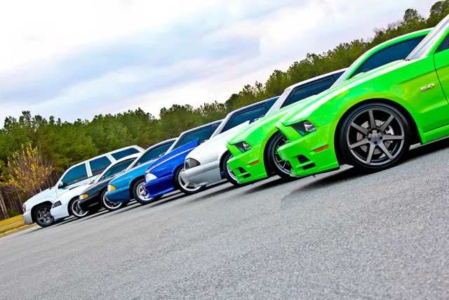 Sun Shield Auto Trim