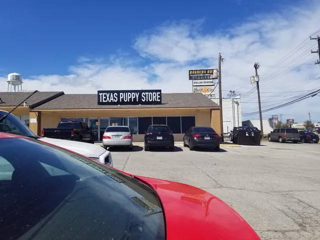 texas puppy store