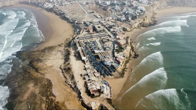 Cactus Surf Experience