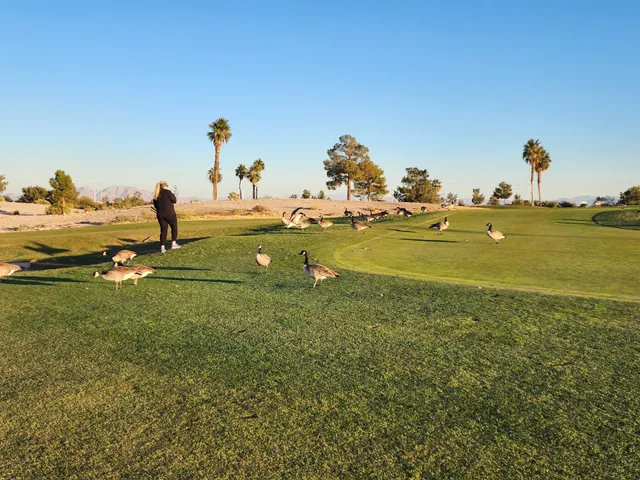 Cloud 9 at Angel Park Golf Club