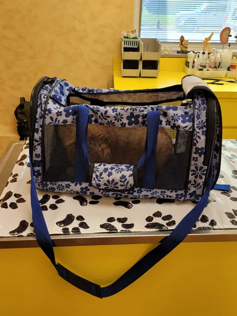 St Louis Hills Veterinary Clinic