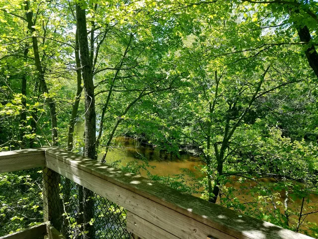 River Overlook Deck | 12 Mile Conservation Area