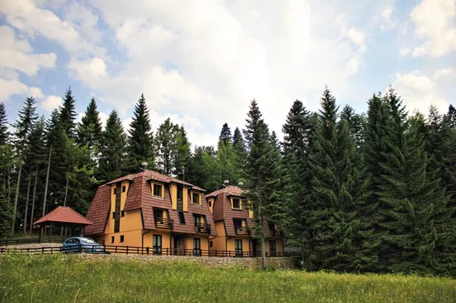 Апартмани МИТРОВАЧКИ САН